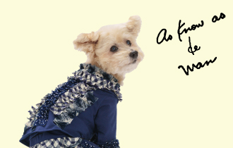 デワン | 愛犬とママ パパのお揃いコーデも取り扱う犬服通販サイト