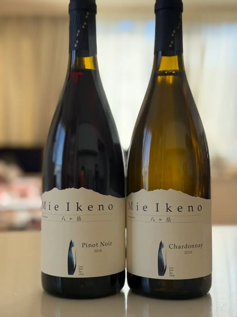 2026年最新】ミエイケノ ピノノワールの人気アイテム - メルカリ